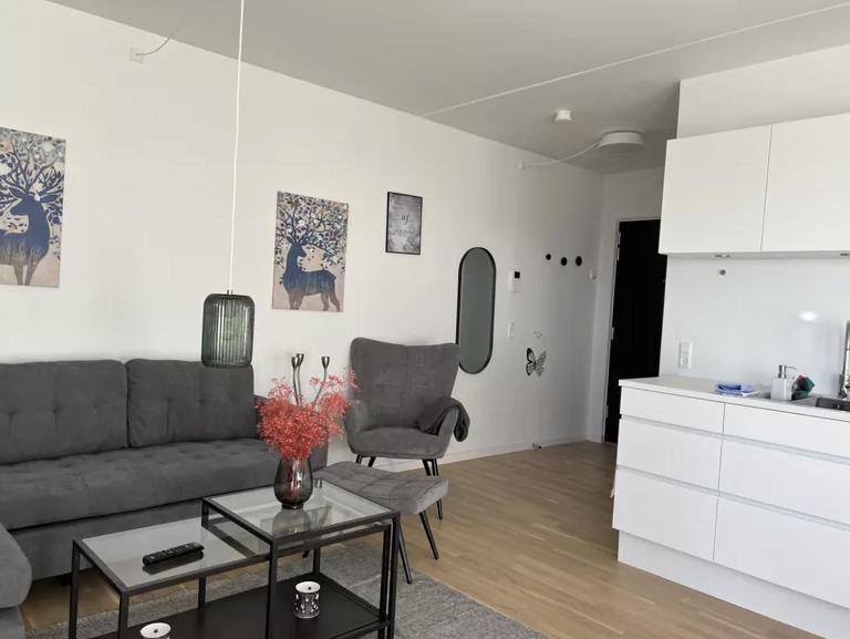 Modern Comfort In Orestad - With Balcony Apartment Copenhagen
